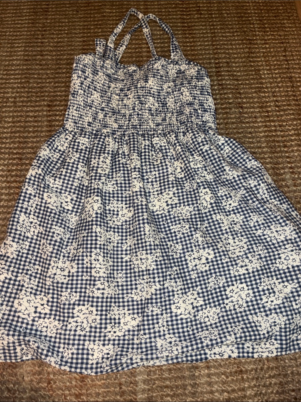 American Eagle Outfitters Blue and White Gingham Floral Sundress